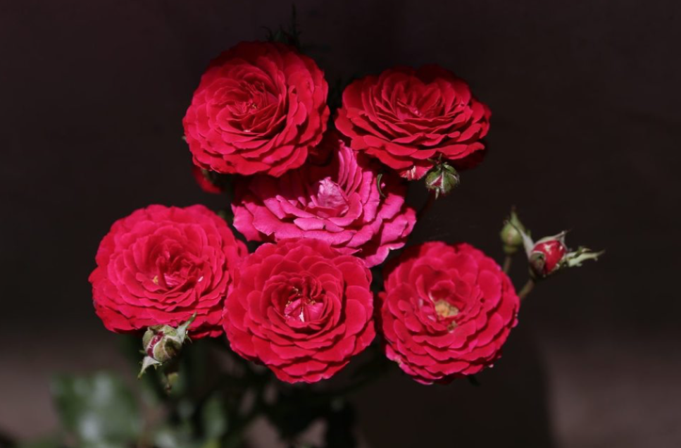 Screenshot%202025-05-29%20at%2012.09.02 Screenshot%202025-05-29%20at%2012.09.02